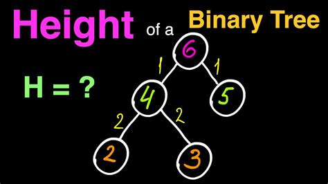 Height Of A Binary Tree Youtube