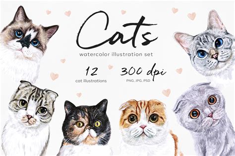 Watercolor cat illustrations. Cute 12 cats. Kitty. Meow