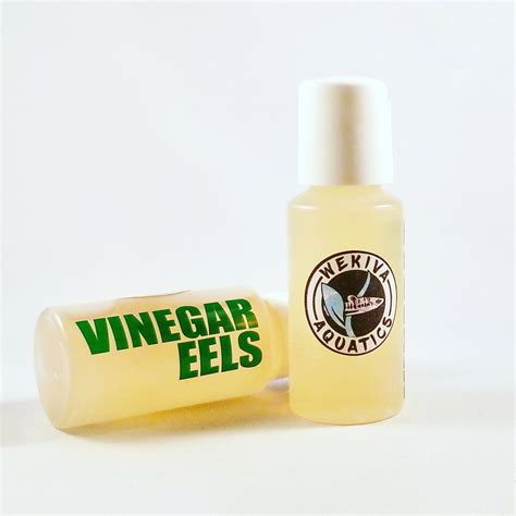 This helps you save your time. FS - USA - $6 + Free Shipping - Vinegar Eels Starter ...