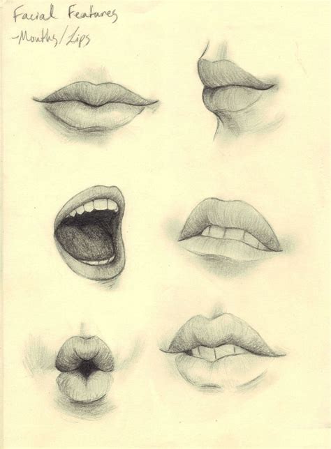 A Drawing Of Different Lips And Mouths