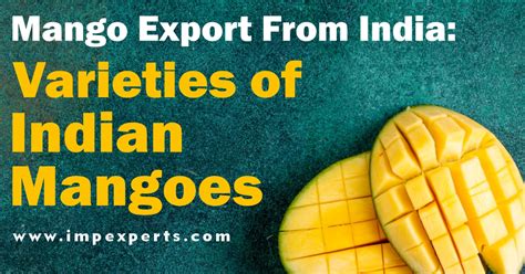 Mango Export From India Varieties Of Indian Mangoes