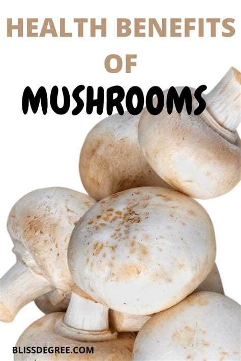 Mushrooms: Nutritional Value and Health Benefits - Bliss Degree