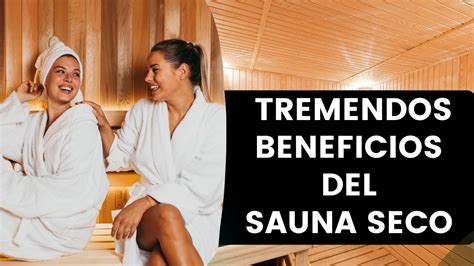 Beneficios Medicinales Del Sauna Seco Descubre TODAS Las Propiedades Medicinales Del Sauna