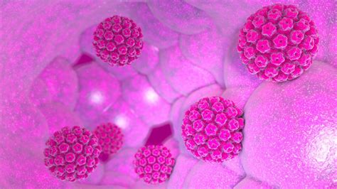 Qué sabemos sobre la vacuna del Virus del Papiloma Humano RM Sur