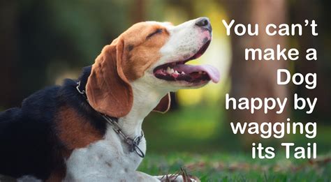 A reversal of typical tail wagging the dog. You can't make a dog happy by wagging its tail - Gugin