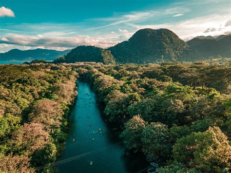 Download Honduras Green Mountains And Forest Wallpaper