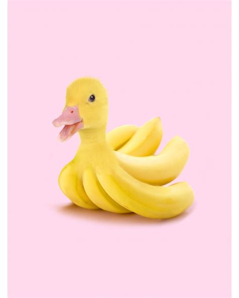 Print Banana Duck