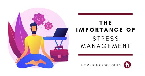 ‎the Importance Of Stress Management Homestead Community