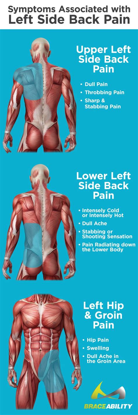 Pin On Back Injuries And Spine Disorders Whats Causing My Back Pain