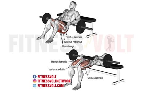 The 5 Best Hip And Butt Exercises Fitness Volt