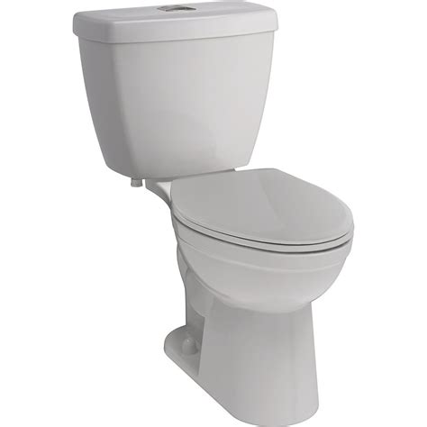 Delta Foundations® Dual Flush Elongated Bowl Toilet In White The Home