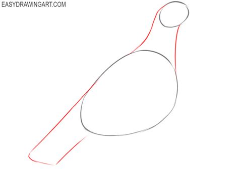 How To Draw A Pigeon Really Easy Drawing Tutorial Uni
