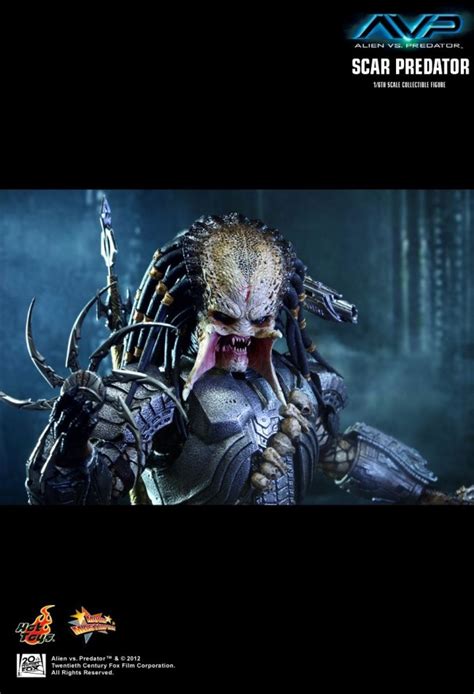 Scar Predator Aus Dem Film Alien Vs Predator Von Hot Toys Mms190