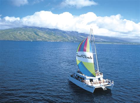 Four Winds Ii Molokini Snorkel Tour Maui Sights And Treasures