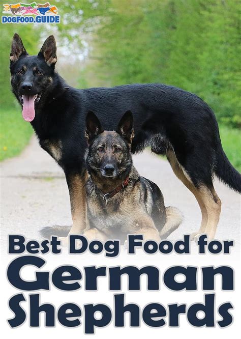 Diamond dog food recall history. 10 Healthiest & Best Dog Food for German Shepherds in 2021