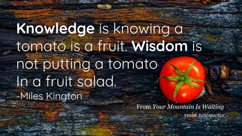 Knowledge Vs Wisdom Wisdom Tomato Knowledge