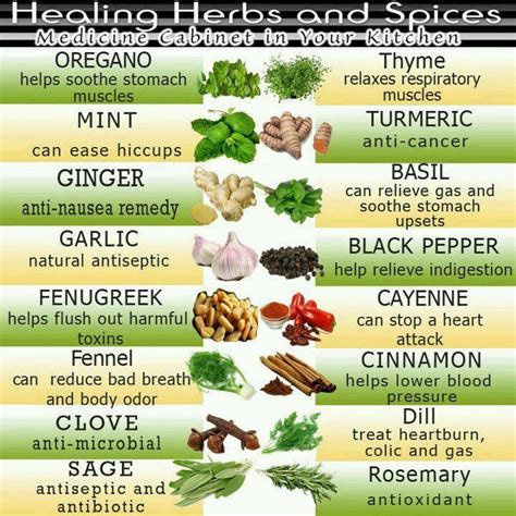 healing herbs and spices keep this list handy in your kitchen healing herbs herbs remedies