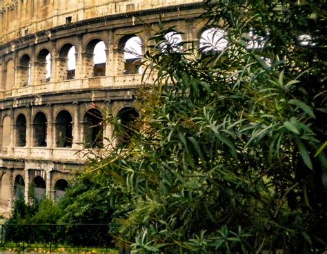 Roma Guía Completa Para Una Visita Perfecta A La Capital De Italia