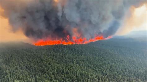 Uncontrolled Wildfire Burns Near Bcs Tumbler Ridge