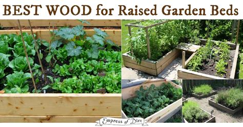 Maybe you would like to learn more about one of these? Best Wood for Raised Garden Beds | Empress of Dirt