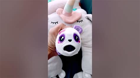 Water Melon Sugar Smiggle Panda Asmr Shorts Shortsvideo Youtube