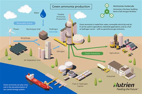 Ammonia Production Plant