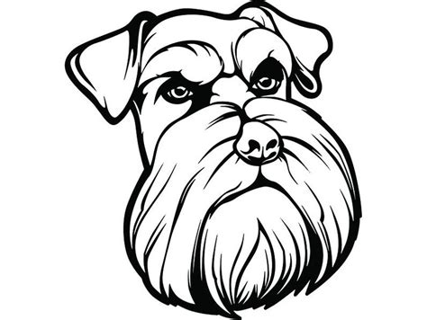 Schnauzer Line Drawing Free Download On Clipartmag