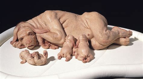 The artist's world is teeming with hybrid creatures that could have been given life through the most recent digital and biotechnological. Patricia Piccinini's Curious Affection at GOMA, Brisbane ...
