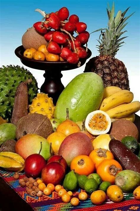 Variedad De Frutas Tropicales De Colombia Variety Of Fruits Healthy Fruits Fruit