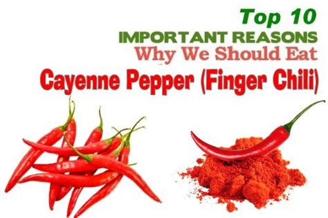 Top 10 Health Benefits Of Cayenne Pepper Cayenne Pepper Benefits