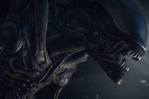 Xenomorph Wallpaper ·① Download Free Stunning Hd Backgrounds For