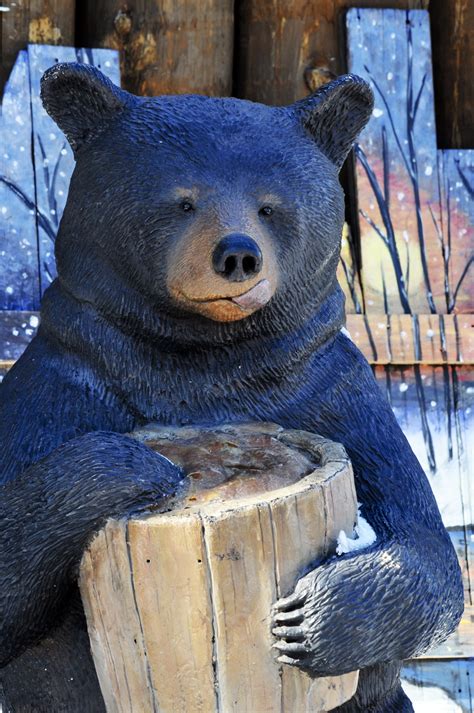 Bear With Paw In Honey Pot Free Stock Photo Public Domain Pictures