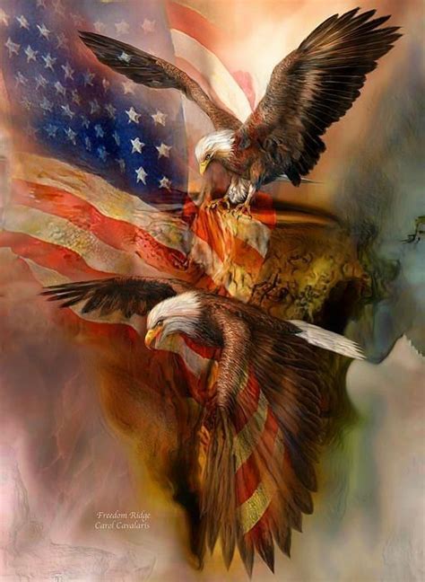 Pin By Belle Kushner On Eagles Eagle Pictures Patriotic Pictures