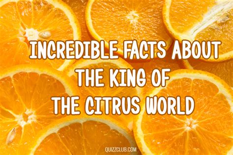 Facts About Orange One Of The Most Favorite Quizzclub