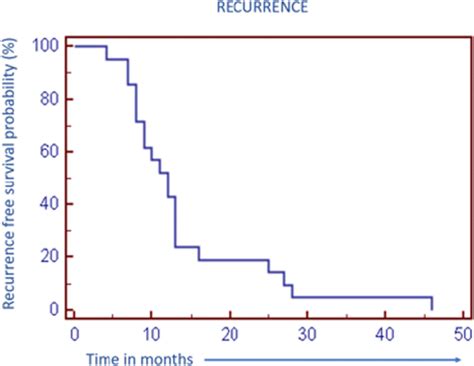 Kaplan Meier Graph Of Recurrence Free Survival Download Scientific