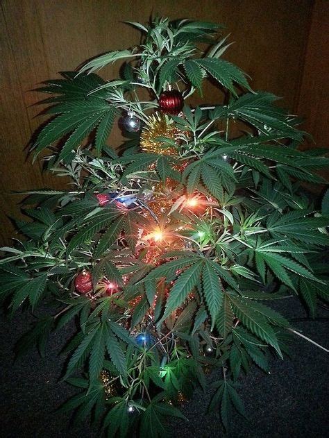 Everything You Need For A Cannabis Christmas Kushmas — Chronic Crafter