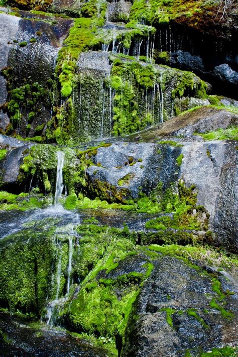 Water Trickling Over Mossy Rocks Stock Image Image Of Waterfall