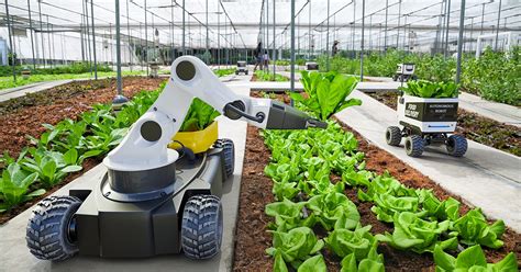 Automated Farming The Agrotech Daily