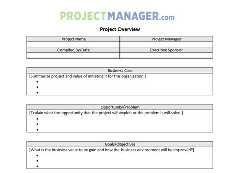 Free Sample Project Overview Templates In Pdf Ms Word Gambaran