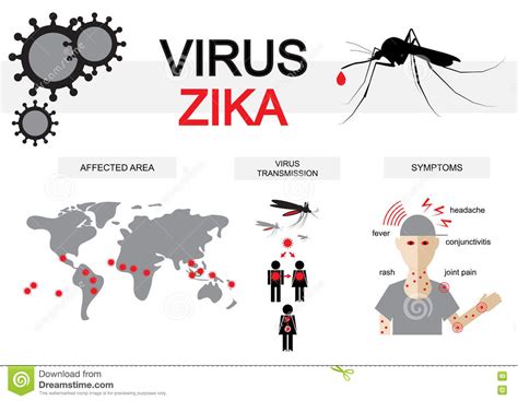 Zika Virus Infographics Stock Illustration Illustration Of Mosquito