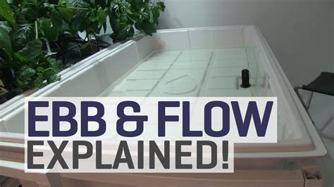 Ebb And Flow Hydroponics Explained Youtube