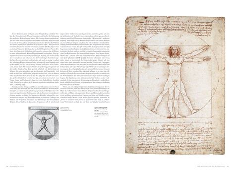 A Definitive Guide To Leonardo Da Vincis Paintings And Drawings Da