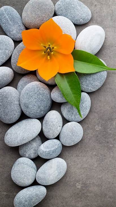 Spa Iphone Wallpapers Flower Flowers Stone Plus