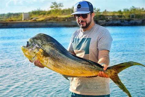 Punta Cana Fishing The Complete Guide Updated 2023