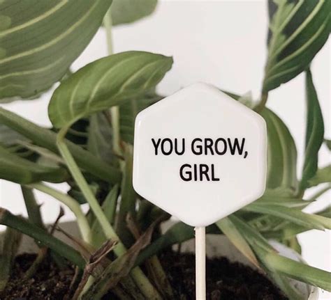 You Grow Girl Mother Plant Growing Plants Reminder Essential Oils