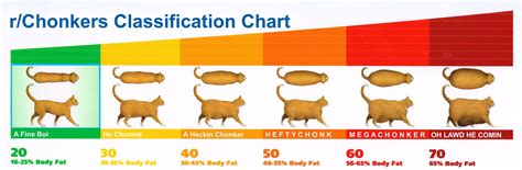 Rchonkers Using A Percent Body Fat Chart To Show How Chonky Your Cat