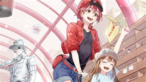 Free Download Cells At Work Red Blood Cell Platelet Hd K Wallpaper X For Your