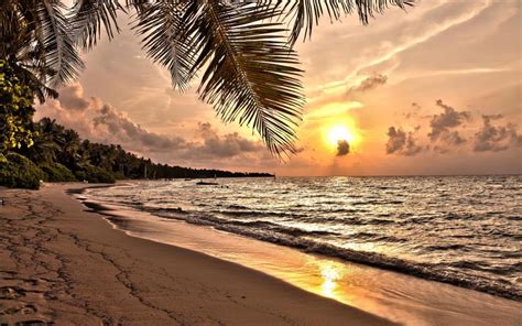 Sunset On A Tropical Beach Hd Desktop Wallpaper