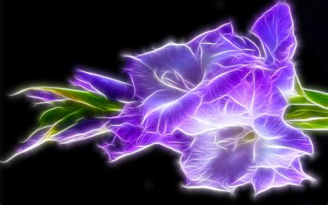 Glowing flowers wallpaper | Wallpaper Wide HD