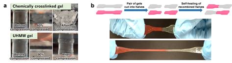 Growth Of An Easy To Synthesize Self Healing Gel Composed Of Entangled